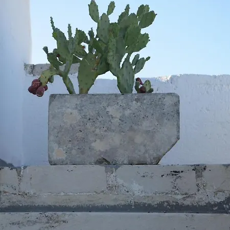 アパート Palazzo Rimesa *